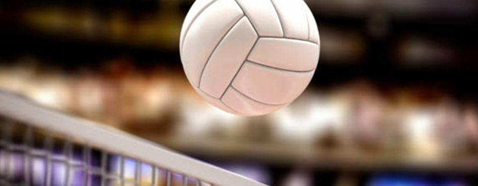 Panther Volleyball